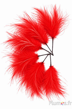 Pennacchio struzzo 3 piume - altezza 20 cm - rosso